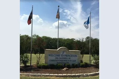 1703 Sorghum Drive, Princeton, TX 75407 - Photo 25