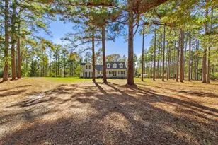 22924 County Rd 223, Arp, TX 75750 - Photo 3