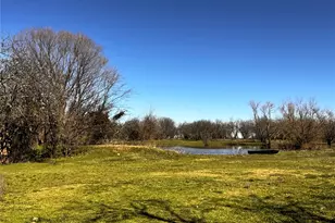 261 Vickie Ln, Gunter, TX 75058 - Photo 33