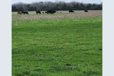 00 W Hinton Street, Tioga, TX 76271 - Photo 1