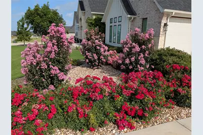 3017 Infinity Drive, Weatherford, TX 76087 - Photo 39