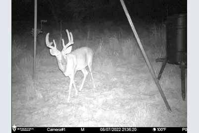 3000 Nech Ranch Court, Granbury, TX 76048 - Photo 35