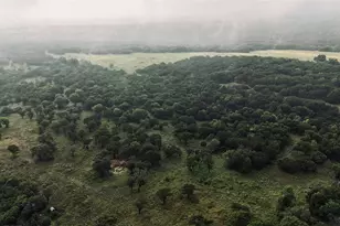 3000 Nech Ranch Ct, Granbury, TX 76048 - Photo 1