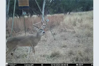 3000 Nech Ranch Court, Granbury, TX 76048 - Photo 21
