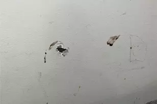 711 Heirloom Ln, Josephine, TX 75189 - Photo 21