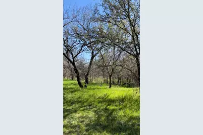 Tbd Port O Call Drive, Runaway Bay, TX 76426 - Photo 3