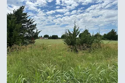 Lot 6 Lemonade Lane, Farmersville, TX 75442 - Photo 9