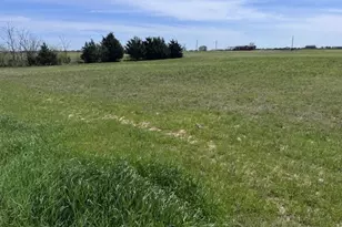 589 CR-35500, Sumner, TX 75486 - Photo 17