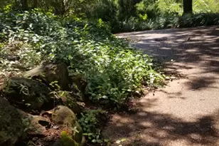 1801 Old Oak Dr, Arlington, TX 76012 - Photo 35