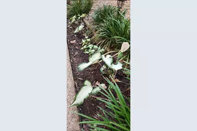 1801 Old Oak Drive, Arlington, TX 76012 - Photo 39