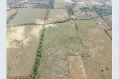 Tbd Fm 709 S, Purdon, TX 76679 - Photo 5