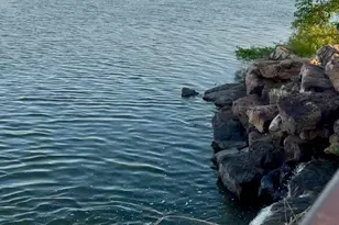 1012 Lincoln Dr, Sulphur Springs, TX 75482 - Photo 27