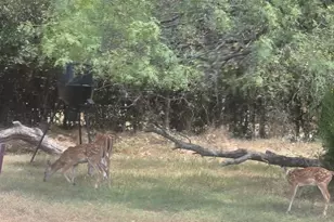 130 Parsonage St, Reno, TX 76020 - Photo 37