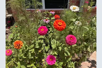 1224 Harvard Lane, Allen, TX 75002 - Photo 23