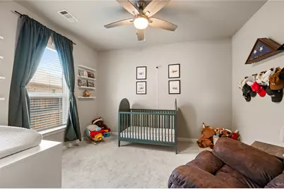 616 Chippewa Way, Aubrey, TX 76227 - Photo 21