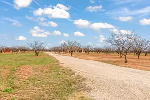 146 Mesquite Rdg Ln, Lawn, TX 79530 - Photo 35