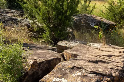 1005 Carter Lane, Santo, TX 76472 - Photo 7