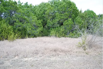 43111 Indian Blanket Drive, Whitney, TX 76692 - Photo 3