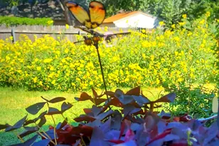 748 Regency Dr, Hurst, TX 76054 - Photo 35