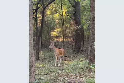 1130 Rio Bravo Way, Shady Shores, TX 76208 - Photo 39