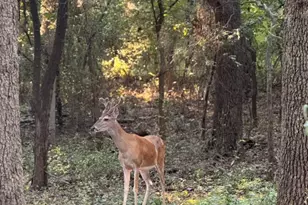 1130 Rio Bravo Way, Shady Shores, TX 76208 - Photo 39