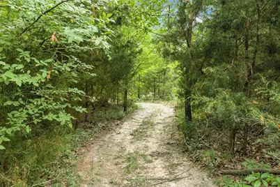 11374 Texas Highway 154 S, Yantis, TX 75497 - Photo 37