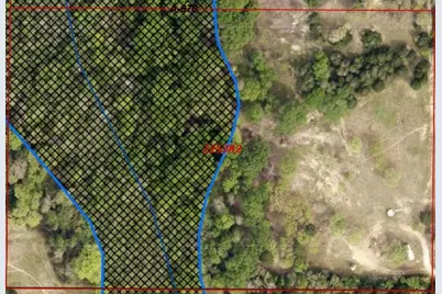 14612 County Road 1114, Athens, TX 75751 - Photo 39