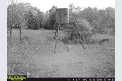 14612 County Road 1114, Athens, TX 75751 - Photo 31