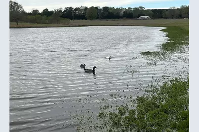 542 Cr 4716, Troup, TX 75789 - Photo 39