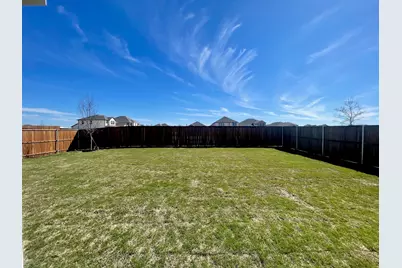 3518 Sunflower Street, Melissa, TX 75454 - Photo 39