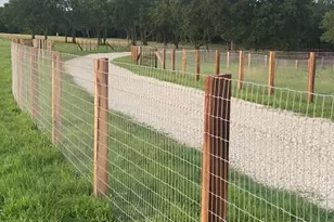 4067 Co Rd 414, St Jo, TX 76265 - Photo 3