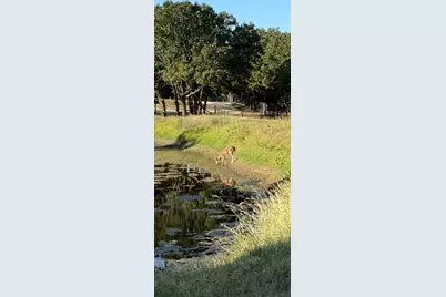 4067 County Road 414, St Jo, TX 76265 - Photo 37