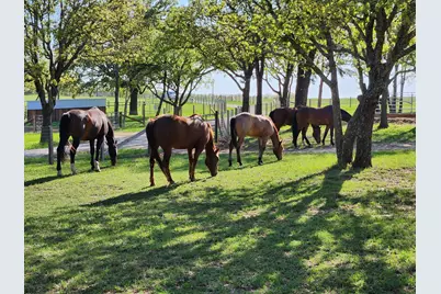 4067 County Road 414, St Jo, TX 76265 - Photo 31