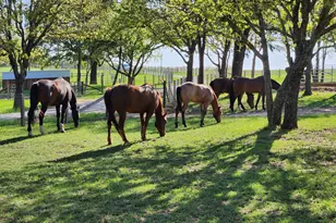 4067 Co Rd 414, St Jo, TX 76265 - Photo 31