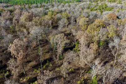 Tbd Fm 195, Arthur City, TX 75411 - Photo 5