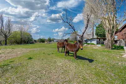 48 County Road 2360, Bagwell, TX 75412 - Photo 15