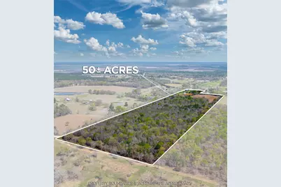 48 County Road 2360, Bagwell, TX 75412 - Photo 1