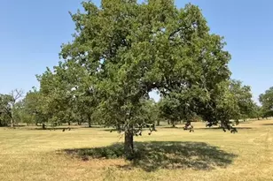 6532 Retta Oaks Dr, Burleson, TX 76028 - Photo 1