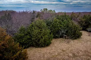 Tbd Rodgers Rd, Whitesboro, TX 76273 - Photo 13