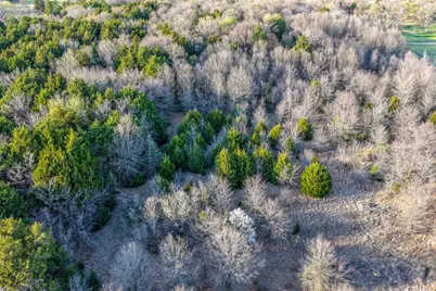 0 Cr 4112, Campbell, TX 75422 - Photo 19