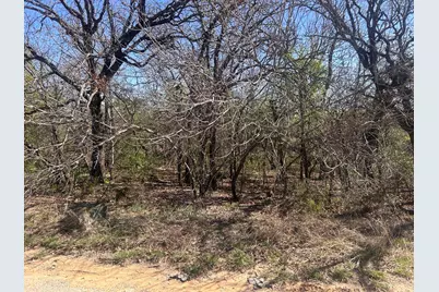 Tbd Palmetto Court #2, Runaway Bay, TX 76426 - Photo 1
