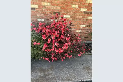 600 Vz County Road 3528, Wills Point, TX 75169 - Photo 9