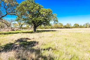 Tbd Tract 4 County Road 930, Teague, TX 75860 - Photo 1