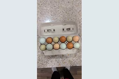 705 County Road 201, Marlin, TX 76661 - Photo 9