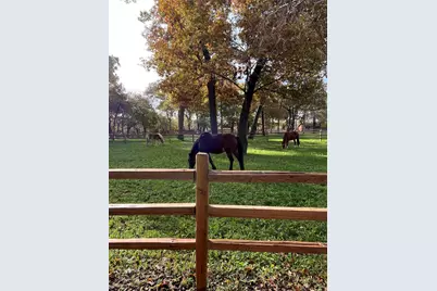 4206 Sycamore Lane, Parker, TX 75002 - Photo 39