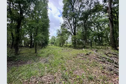 Tbd County Road 2415, Honey Grove, TX 75446 - Photo 9