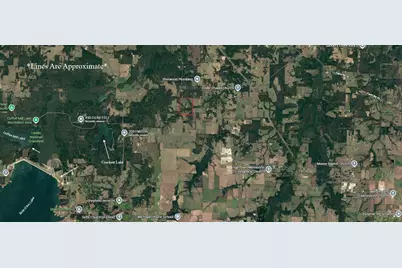 Tbd County Road 2415, Honey Grove, TX 75446 - Photo 11