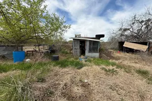 9380 Private Rd 3844, Quinlan, TX 75474 - Photo 5