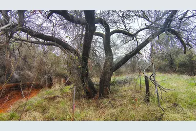 117 Buchanan Rd (Cr 661), Abilene, TX 79606 - Photo 29