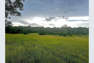 1840 County Road 1306, Rusk, TX 75785 - Photo 9